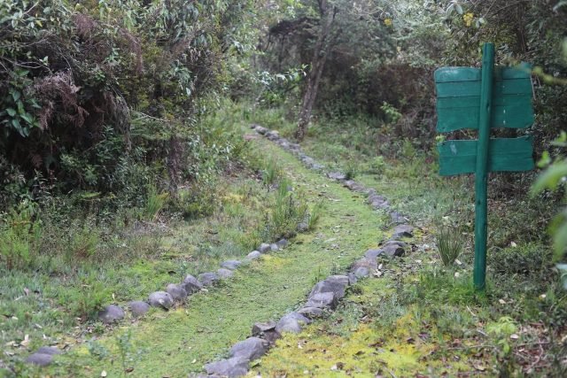 Sendero del Aguarongo